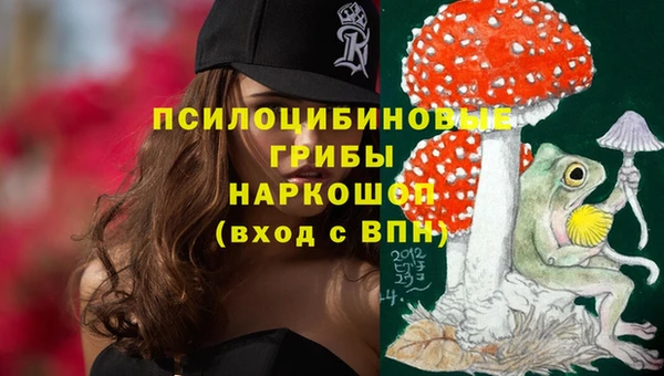 гашик Верхний Тагил