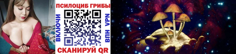 Галлюциногенные грибы GOLDEN TEACHER  Орехово-Зуево 