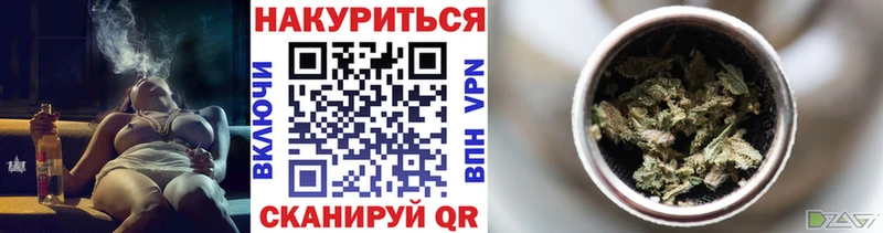 где можно купить наркотик  Орехово-Зуево  Конопля индика 